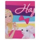 Themez Only Barbie Paper Birthday Poster 1 Piece Pack